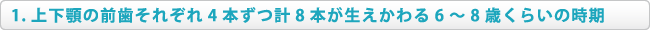 上下顎の前歯それぞれ4本ずつ計8本が萌えかわる6～8歳くらいの時期